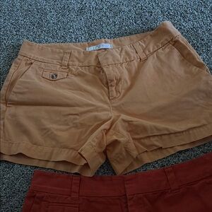 LOFT Women's Tan Shorts